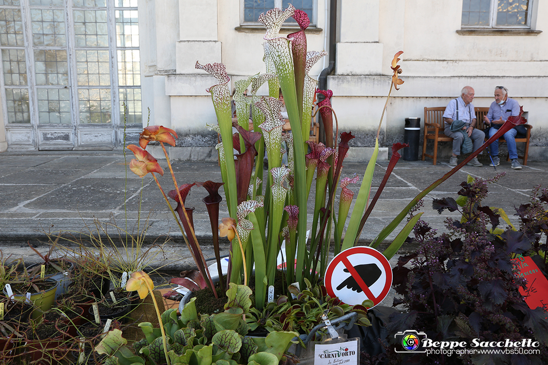 VBS_2412 - FloReal 2021 alla Palazzina di Caccia di Stupinigi.jpg